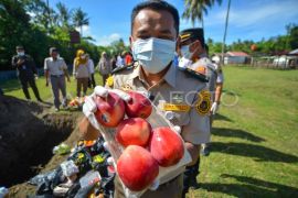 Pemusnahan media pembawa hama penyakit di Padang Page 1 Small