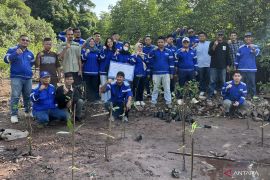 PT Pelni tanam 400 bakau, cegah abrasi dan dorong ekonomi nelayan