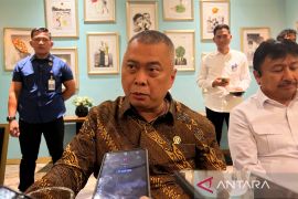 Minister directs KNKT probe into Bali ferry tragedy