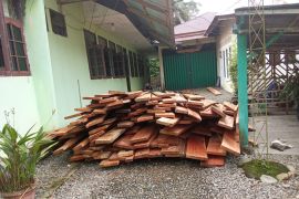 Polisi Kehutanan gencarkan patroli cegah ilegal loging di hutan lindung Pasaman