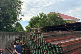 Kemenhut tetapkan tersangka distribusi ratusan kayu merbau ilegal
