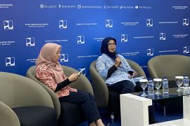 Ministry reviews Depok's FIFA stadium construction plan