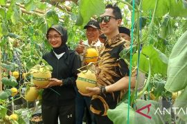 Pemkot Kediri dorong pemanfaatan lahan kosong guna budi daya pertanian