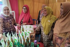 TP PKK Palembang gandeng  BRI jalankan program bina UMKM