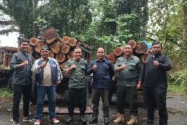Polhutmob gagalkan aksi pembalakan liar di wilayah hutan Banyuwangi