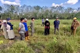 Tim FOLU Net Sink Norwegia evaluasi RHL di Kalsel