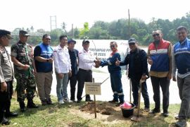 Program Penghijauan Hulu Migas, Pertamina EP Limau tingkatkan kualitas lingkungan hidup bagi warga sekitar