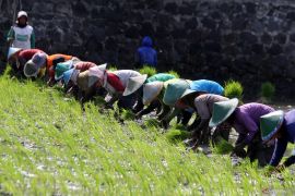 Ketahanan pangan, cermin kedaulatan dan keadilan