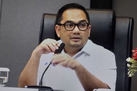 DPR RI dorong pembangunan kantor empat DOB Papua selesai 2027