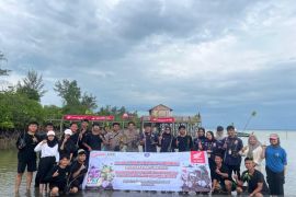 Honda Babel tanam mangrove di Pulau Lepar bersama mahasiswa UBB