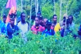 Pemkab Biak Numfor gencarkan ketahanan pangan warga di kampung