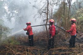 Karhutla seluas 4 ha di Siak, tim gabungan berjibaku memadamkan