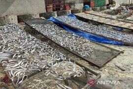 Pemkot Bengkulu dorong pelaku usaha ikan miliki sertifikat halal