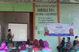 Aplikasi Lelang Agro karya dosen Unsoed permudah petani cabai Purworejo lawan tengkulak