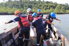 PT Timah restocking 3.800 kepiting di Pulau Kundur