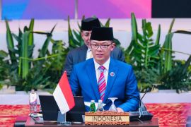 ASEAN nations voice concern over crisis in Myanmar