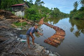 Pemanfaatan sagu di Kepulauan Mentawai Page 2 Small