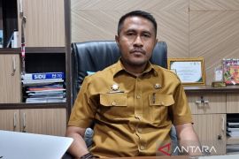 Realisasi investasi 2024 di Papua Barat capai Rp13,03 triliun