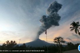 Gunung Lewotobi enam kali erupsi pada 7-8 Juli 2025