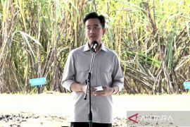 VP Gibran urges unity for sugar self-sufficiency goals
