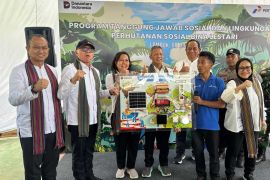 Hutan tumbuh, harapan kembali di Lombok Tengah