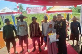 Polres Ketapang target produksi 4 ribu ton jagung