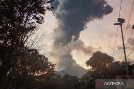 BNPB: Situasi sekitar Gunung Lewotobi kondusif, belum ada korban