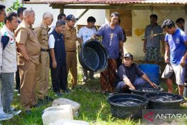 Padang dukung program satu rumah satu kolam lele entaskan kemiskinan