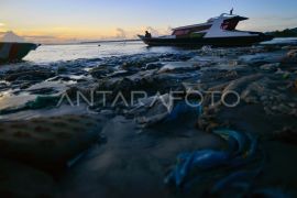 Sampah di pantai Muara Siberut Mentawai Page 1 Small