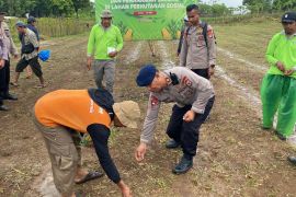 Satuan Brimob Polda Maluku tanam jagung di lahan satu hektare