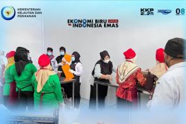 BPPMHKP Bengkulu uji produk ikan asap hingga baby fish crispy