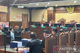 Tom Lembong: Saya bukan malaikat, pahlawan, dan manusia yang sempurna