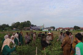 Polresta Cirebon membantu petani melakukan budi daya cabai dan ikan lele