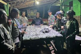 Satgas TNI Pamtas RI-PNG Yonif 131/BRS sita 128 paket ganja PNG di Skofro