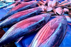 DPRD Gorontalo Utara tanggapi aspirasi nelayan terkait PNBP