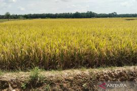 Mukomuko dapat tambahan 10 alsintan untuk kejar target LTT