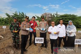 Bangka Barat siapkan lahan ketahanan pangan 68,3 hektare