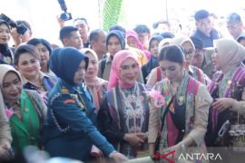 Ketua Dekranas  ajak perajin manfaatkan medsos kembangkan usaha