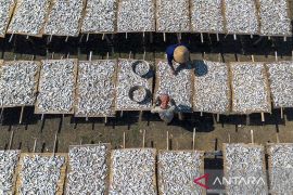 Produksi ikan kering terkendala cuaca