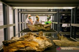 Kepala Museum tengah siapkan paket wisata dan cagar budaya