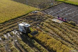 Skema pembiayaan Kredit Usaha Alsintan (KUA) bagi petani