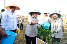 Titiek Soeharto: Perhutanan sosial solusi swasembada pangan