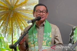Pram targetkan penggabungan tiga taman di Jaksel rampung akhir 2025
