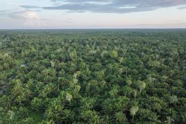 Papua Barat target penyusunan RAB dana RBP rampung Januari