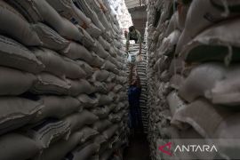 Stok beras Indonesia tembus 4,2 juta ton