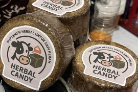 Mahasiswa UMM sulap ampas jamu jadi suplemen pakan ternak sapi perah