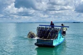 DKP Kalsel tenggelamkan rumah ikan, pulihkan ekosistem laut