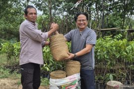 Pemerintah diharapkan secara riil dorong beli dan manfaatkan produk rakyat