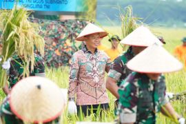 Bupati Langkat dukung ketahanan pangan nasional