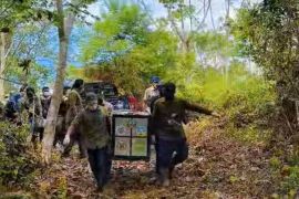 BKSDA lepas liarkan tiga siamang ke TNGL